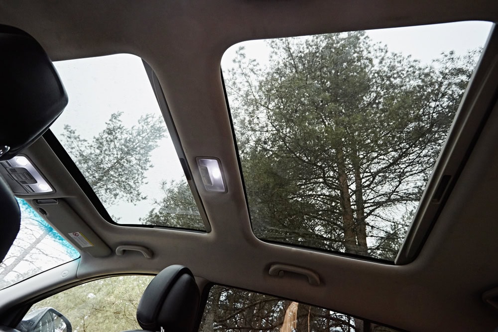 View from inside a car looking up through a large panoramic sunroof, showing tree branches and an overcast sky, with the vehicle’s interior roof lights and headrests visible.